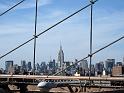 NY (142)